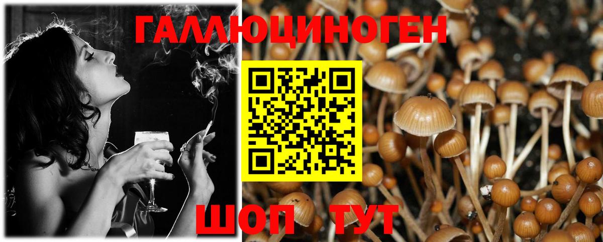 Галлюциногенные грибы мухоморы  Вход с VPN  Галлюциногенные грибы Cubensis  Ефремов 