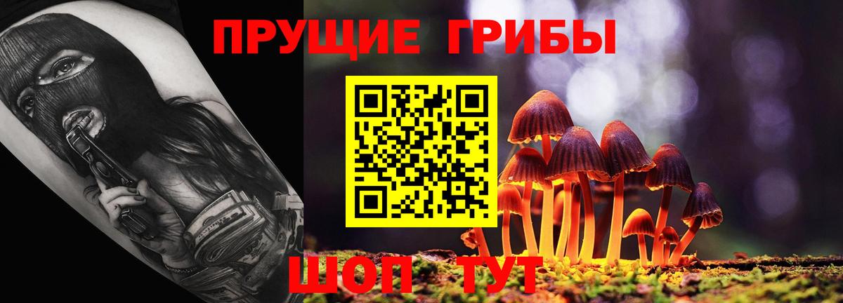Псилоцибиновые грибы Psilocybine cubensis Ефремов